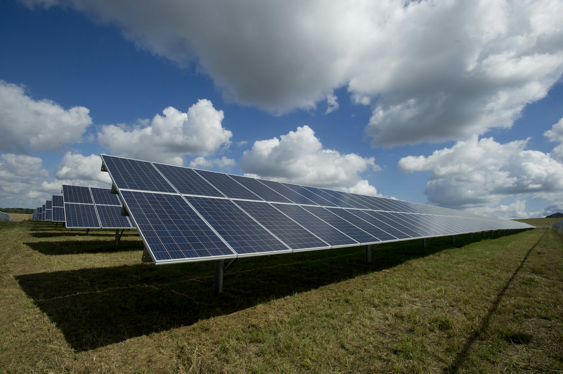 Paneles solares bajo un cielo azul